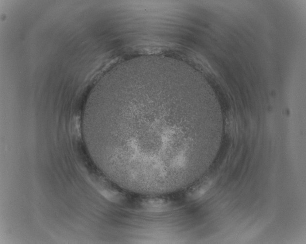 X0000076400598200610202132