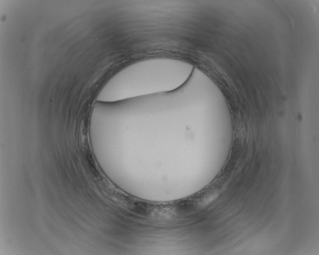 X0000076400599200610202132