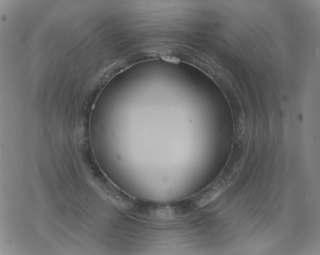 X0000076400600200610202132