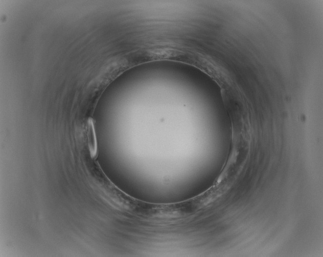 X0000076400601200610202132