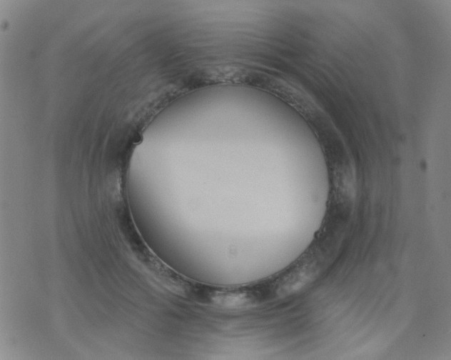 X0000076400602200610202132