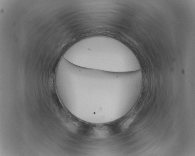 X0000076400603200610202132