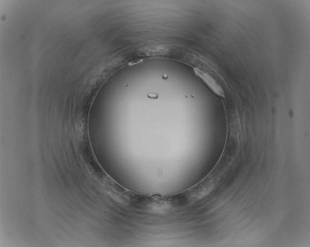 X0000076400604200610202132