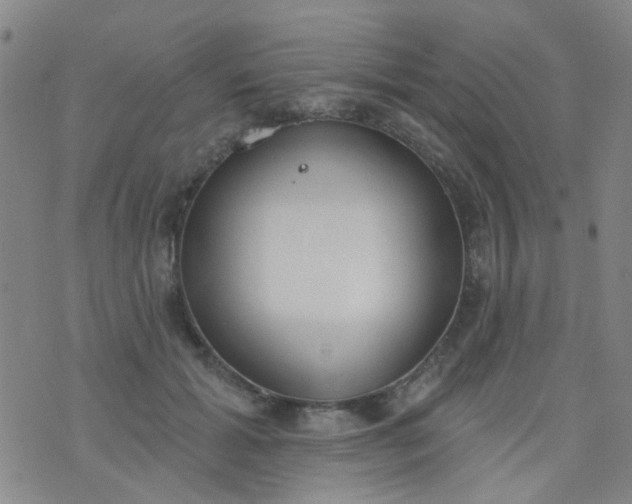 X0000076400605200610202132