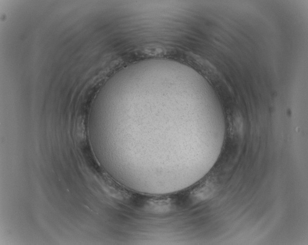 X0000076400606200610202132