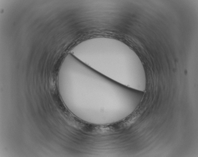 X0000076400607200610202132