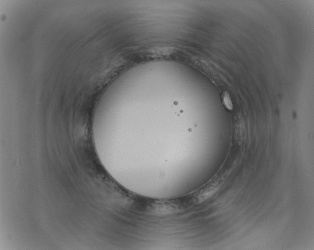 X0000076400608200610202132