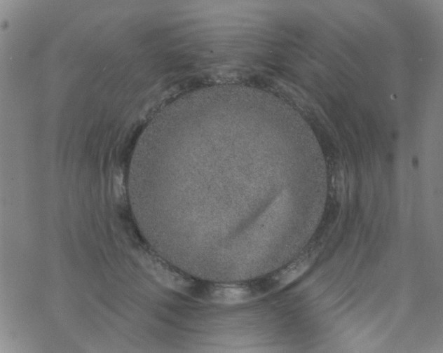 X0000076400610200610202132