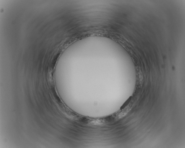 X0000076400611200610202132