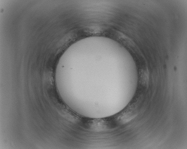 X0000076400612200610202132