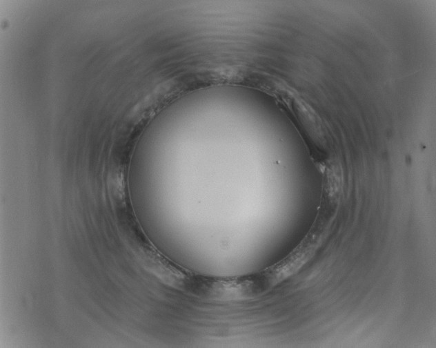 X0000076400613200610202132