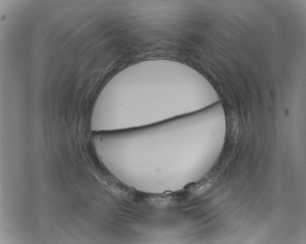 X0000076400615200610202132