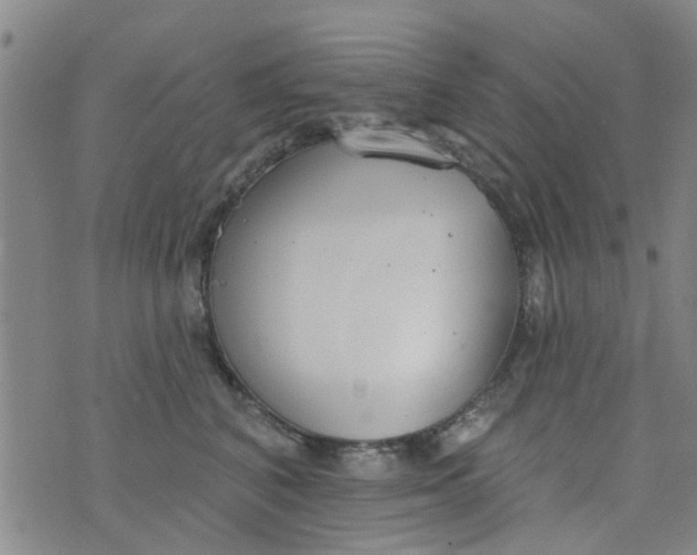 X0000076400616200610202132