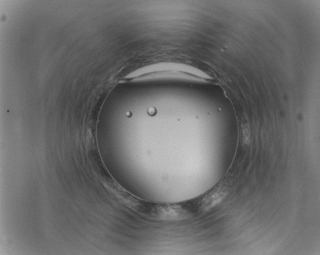 X0000076400618200610202131