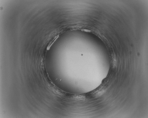 X0000076400619200610202131