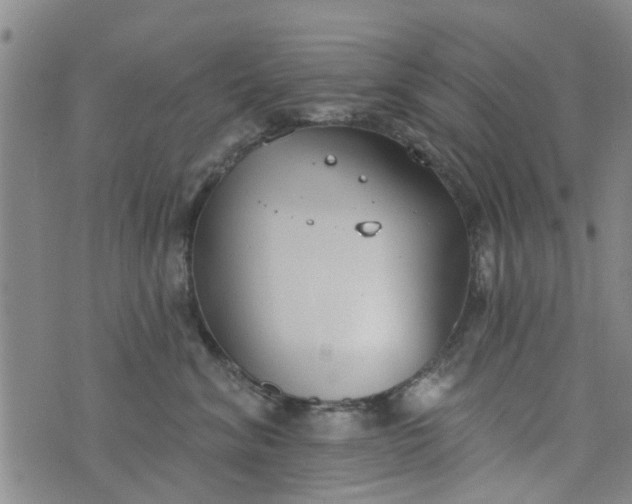 X0000076400620200610202131