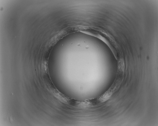 X0000076400621200610202131