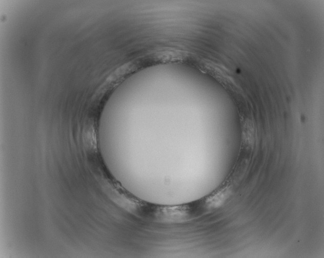 X0000076400622200610202131