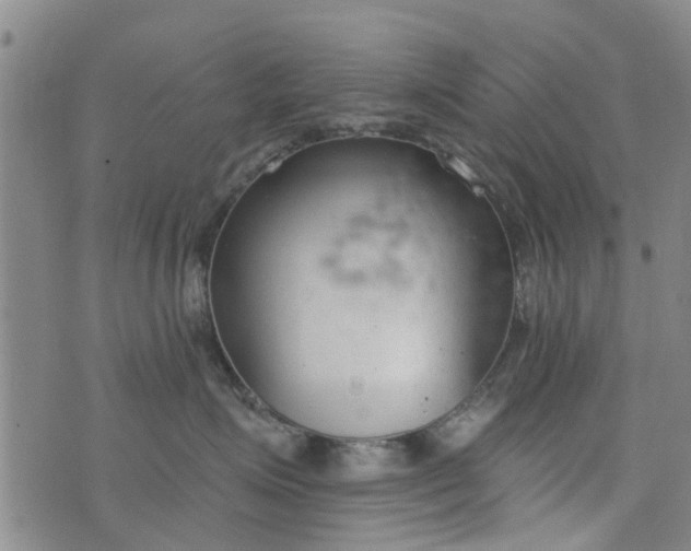 X0000076400623200610202131