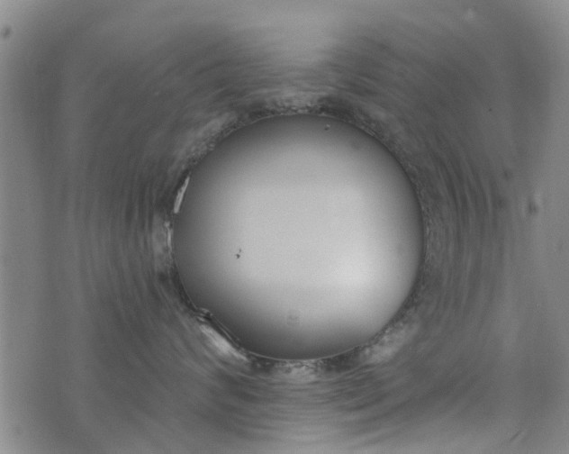 X0000076400624200610202131