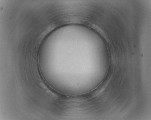 X0000076400625200610202131