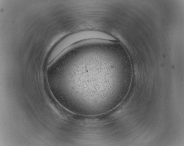 X0000076400626200610202131