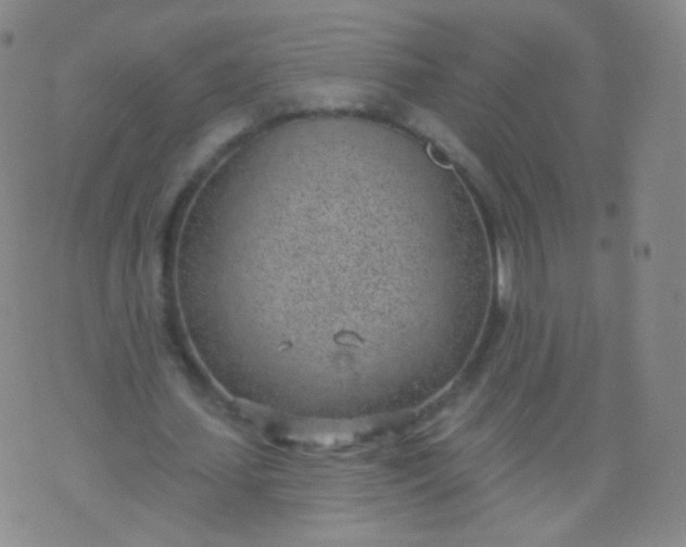 X0000076400627200610202131