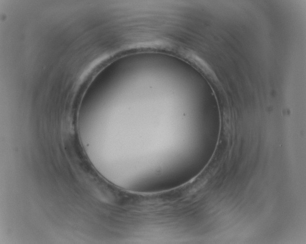 X0000076400628200610202131