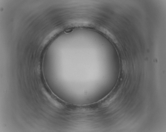 X0000076400629200610202131