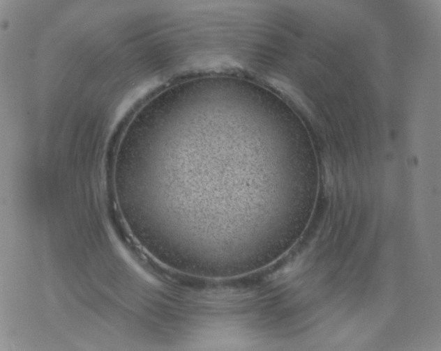 X0000076400630200610202131