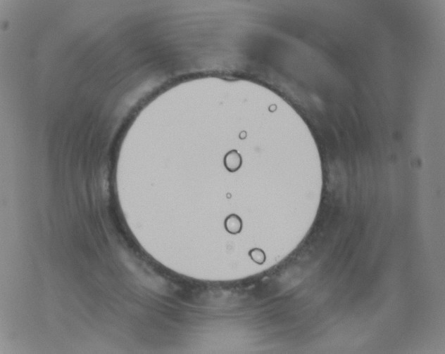 X0000076400632200610202131