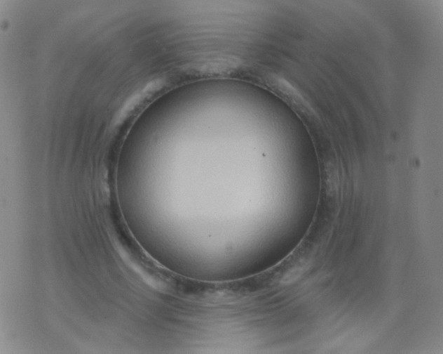 X0000076400634200610202131