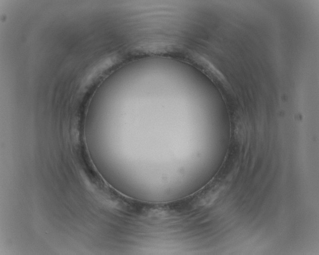 X0000076400635200610202131