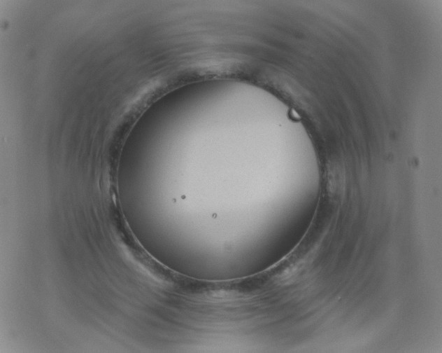 X0000076400637200610202131