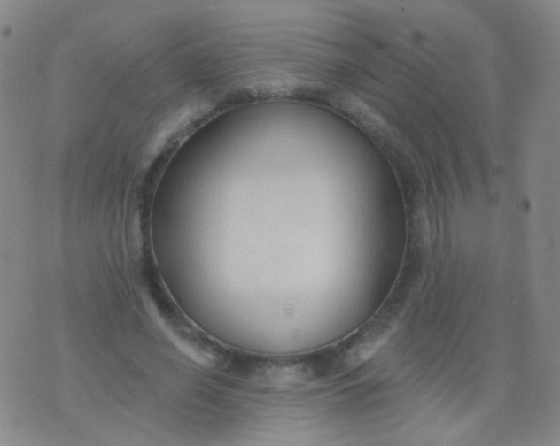 X0000076400638200610202131