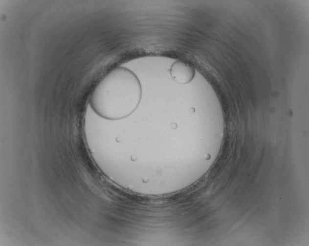 X0000076400639200610202131