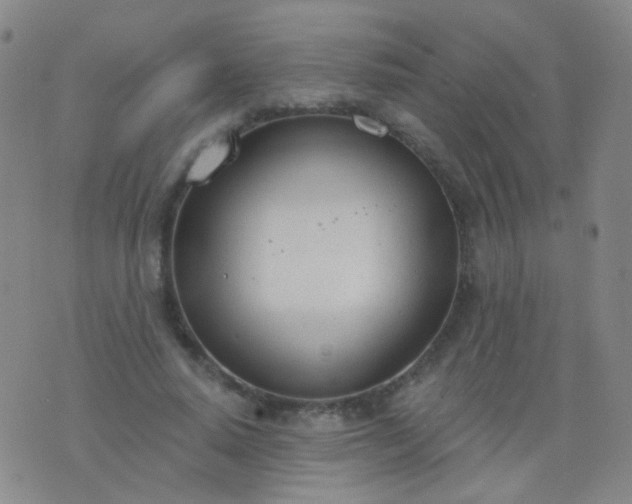 X0000076400640200610202131