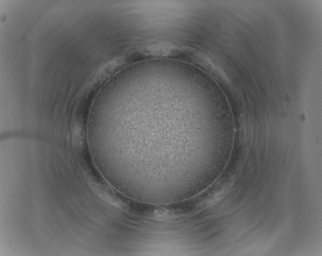 X0000076400641200610202131