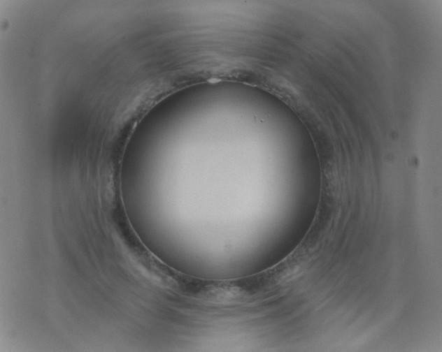 X0000076400642200610202131