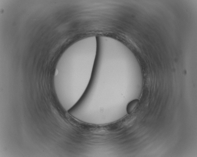 X0000076400643200610202131