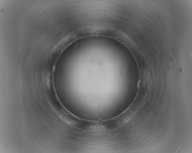 X0000076400644200610202131