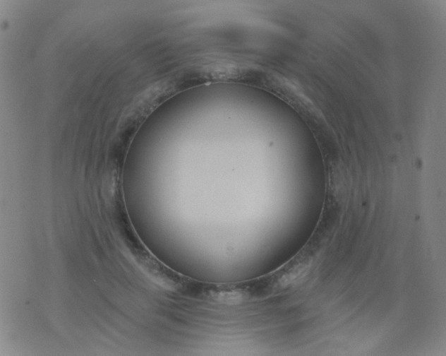 X0000076400645200610202131