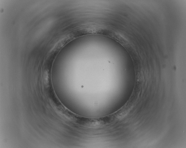 X0000076400646200610202131