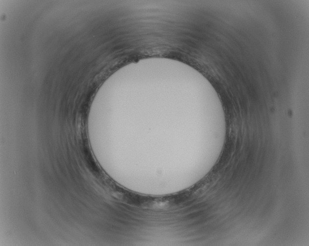 X0000076400647200610202131