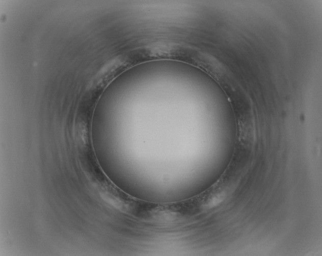 X0000076400648200610202131