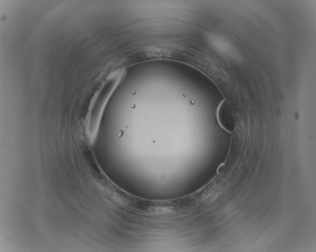 X0000076400649200610202131