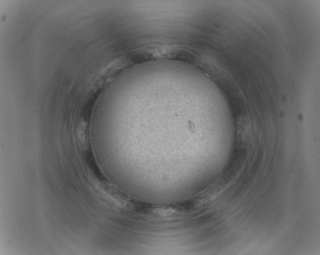 X0000076400650200610202131