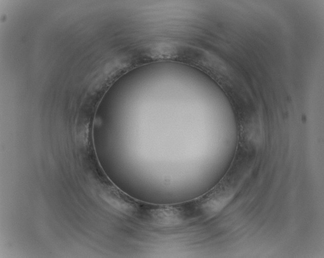 X0000076400652200610202131