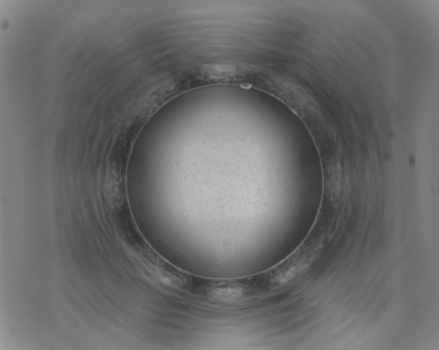 X0000076400653200610202131