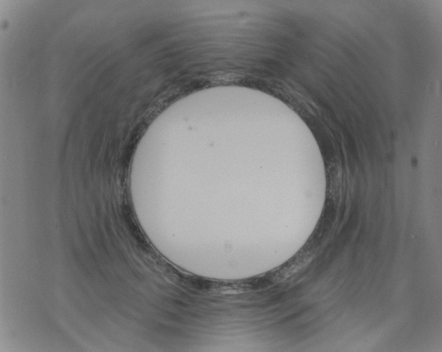 X0000076400655200610202131